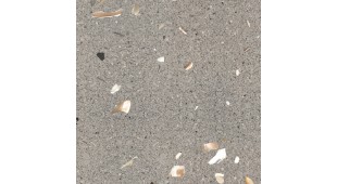 Pittiperla